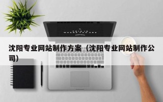 海拉尔沈阳专业网站制作方案（沈阳专业网站制作公司）